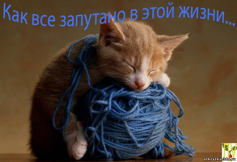Стих котик ниточки мотает Стих котик ниточки мотает