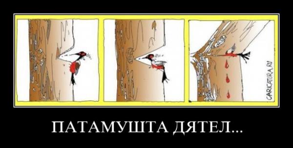 http://www.stihi.ru/pics/2017/03/22/10153.jpg