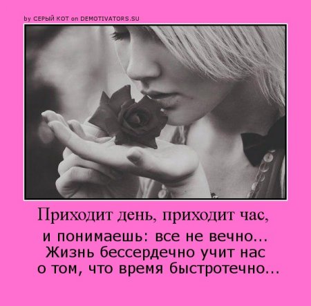 День настольного тенниса 2018 дата праздника, история, поздравления Главная страница - Детский сад 79 Сказка