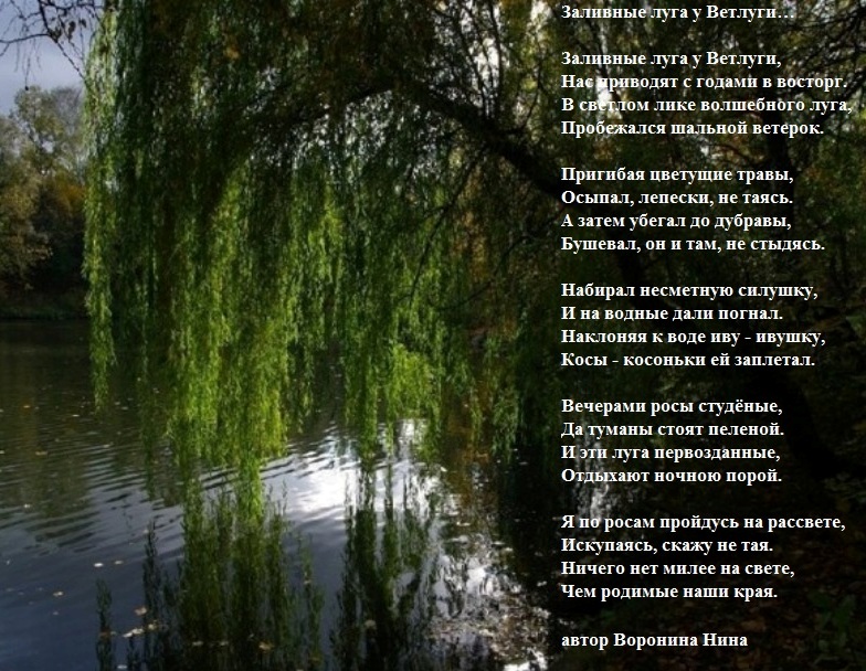Ивушки Стихи (Песня) Елена Ваенга - Ивушки - Текст песни