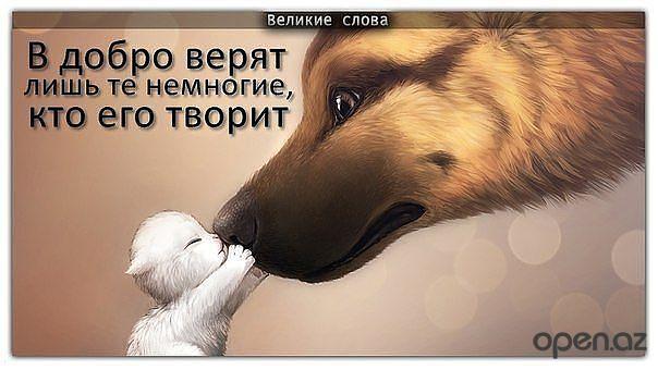 Душа и животные цитаты Душа и животные цитаты