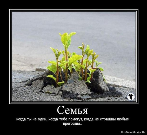 Статус стремление в жизни Статус стремление в жизни