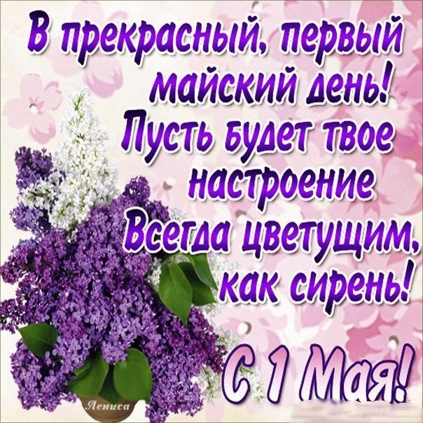 Поздравления и пожелания с 1 мая Поздравления и пожелания с 1 мая