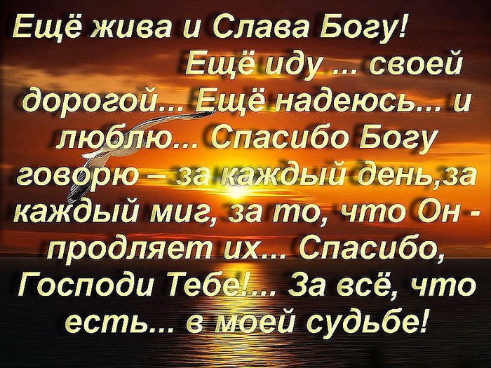 Статусы про бога и мою жизнь Статусы про бога и мою жизнь