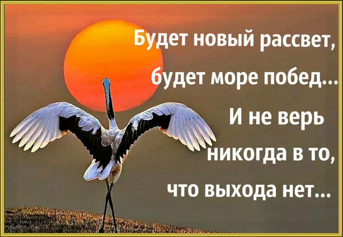 Не верите а ведь подарим Не верите а ведь подарим