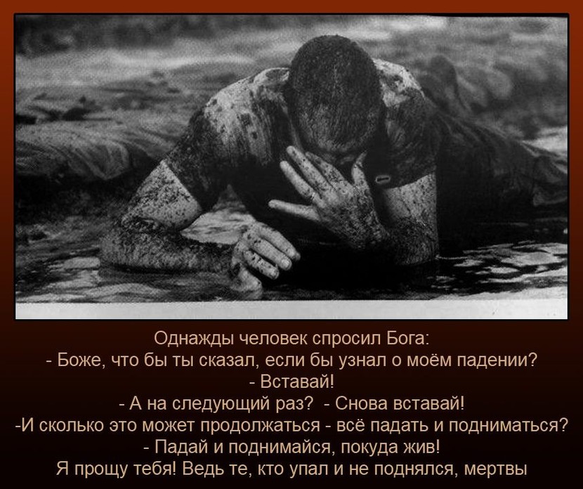 Белая толстовка с воротником стойкой Curly House Афоризмы о жизни. Лучшая коллекция афоризмов