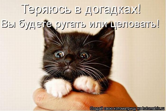 Открытка не ругайся