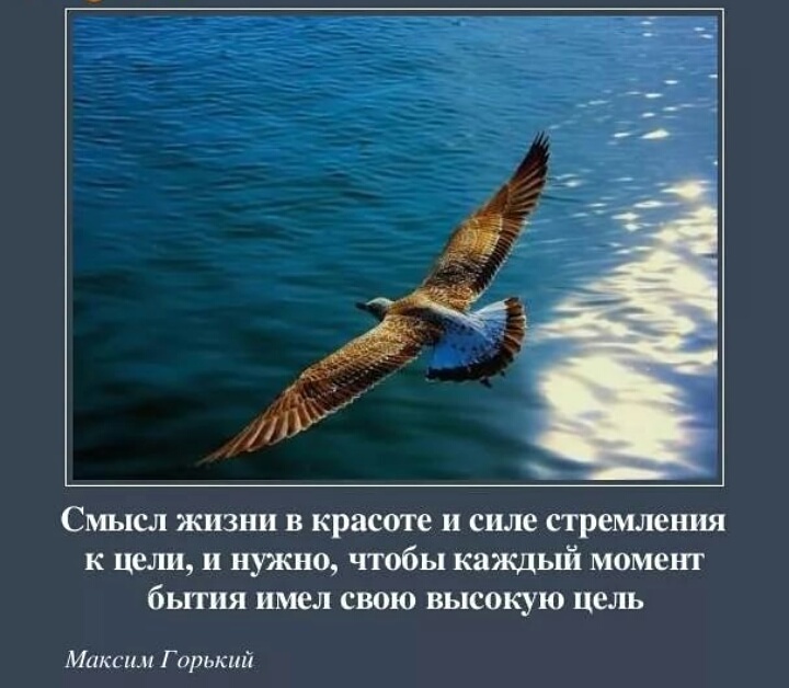 Оплётка на руль кожа с иголкой Оплётка на руль кожа с иголкой
