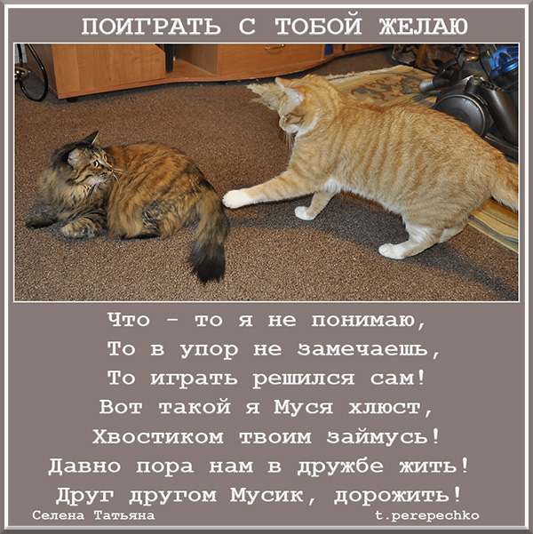 Играть с тобой стих Играть с тобой стих