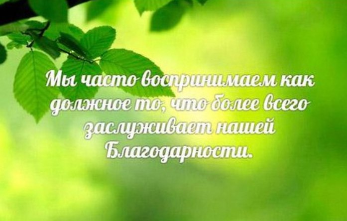 День благодарности цитаты День благодарности цитаты