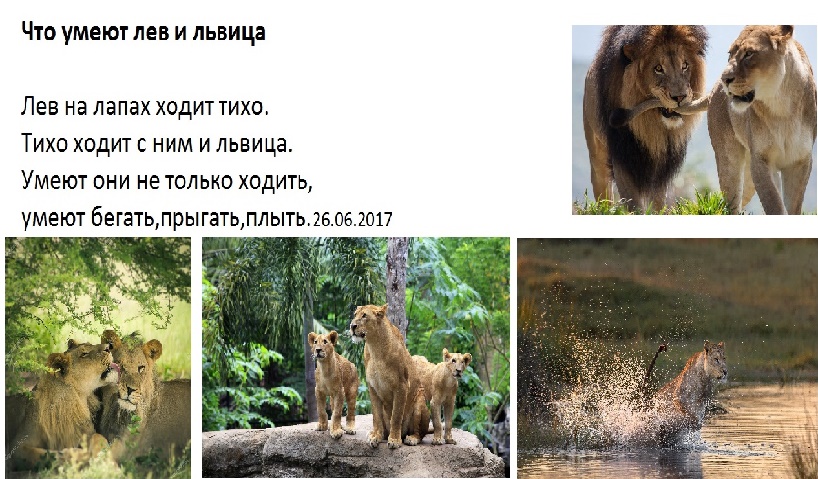 Поздравления для львов и львиц 932 Поздравления для львов и львиц 172
