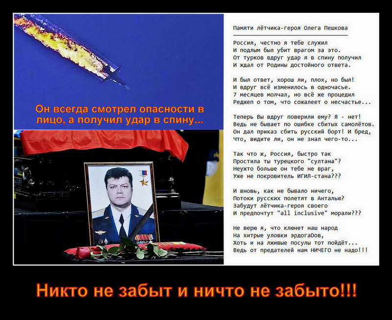 Стих для летчика героя Стих для летчика героя