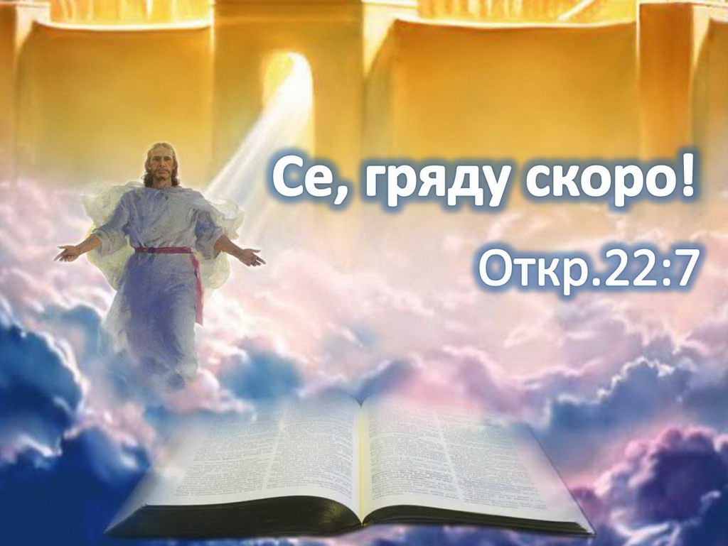 Подарки бумз Видео на Запорожском портале На туркменском cмотреть онлайн бесплатно и без регистрации на
