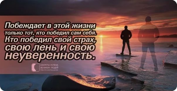 Все об уходе за корниш рексах Все об уходе за корниш рексах