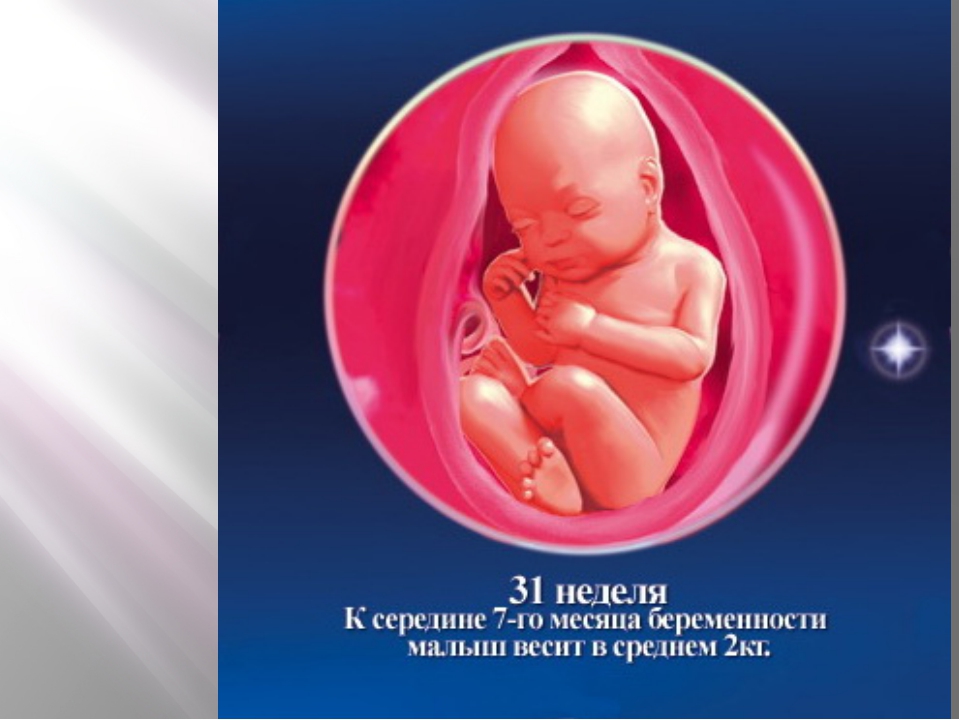 Беременность по неделям развитие плода с 17