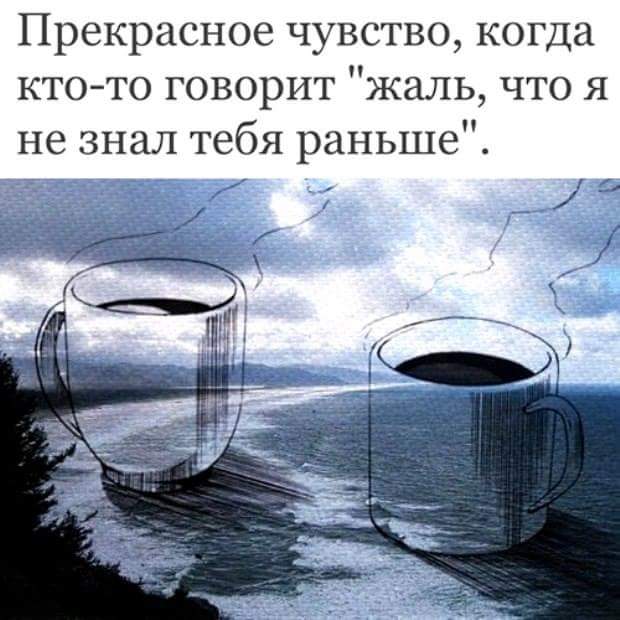 Жаль не знают тебя цитата Жаль не знают тебя цитата