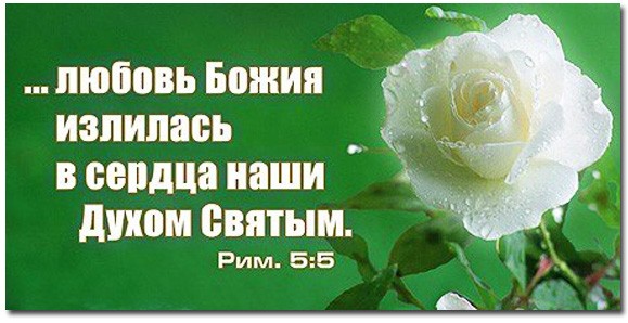 Поздравления с днём святого духа 39