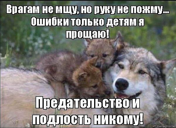 такое санитарная подлость и предательство картинки вы, что