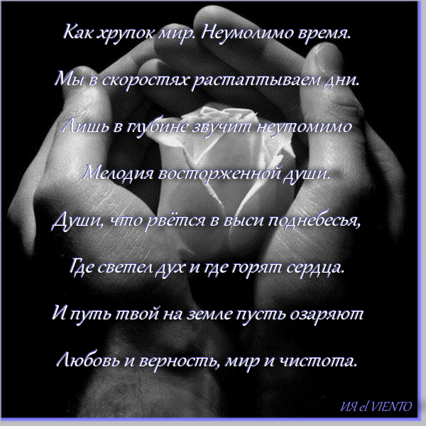 Мой хрупкий мир стих Мой хрупкий мир стих