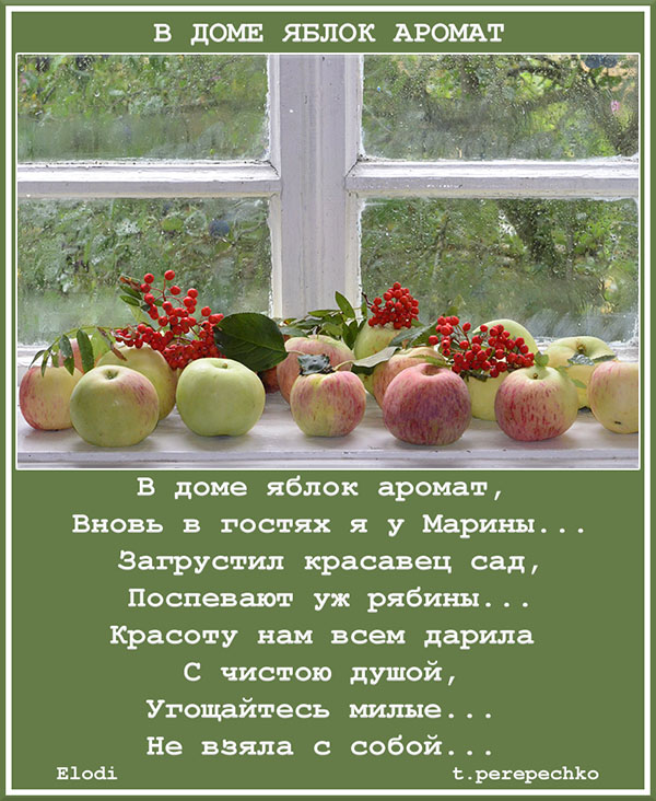 Аромат яблок стих Аромат яблок стих