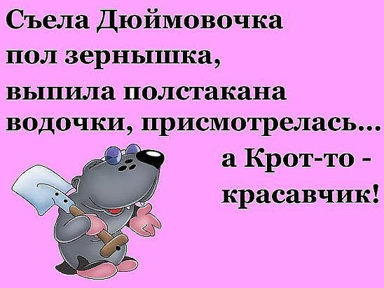 Анекдот о дюймовочке и кроте Анекдот о дюймовочке и кроте