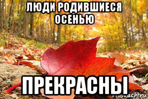 Как сделать булочки с маргарином Как сделать булочки с маргарином