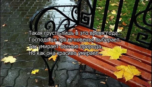 Стих но как красиво умирает Стих но как красиво умирает