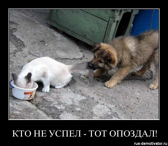 Прикрепленная картинка