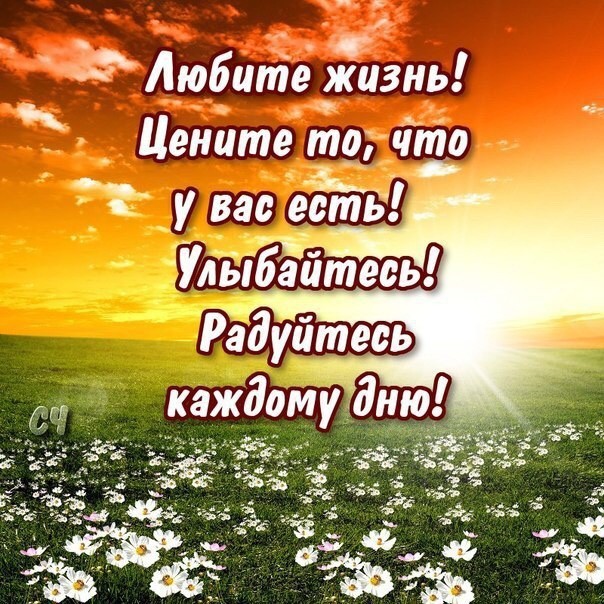Жизнь прекрасна и с каждым днем Жизнь прекрасна и с каждым днем