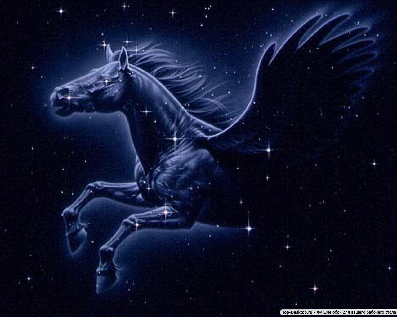 Pegaso que estas en los cielos fotos 69 Pegaso que estas en los cielos fotos 71