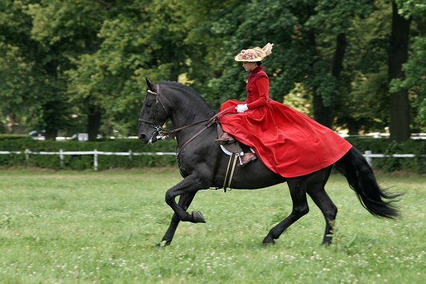 Женский Костюм Для Верховой Езды