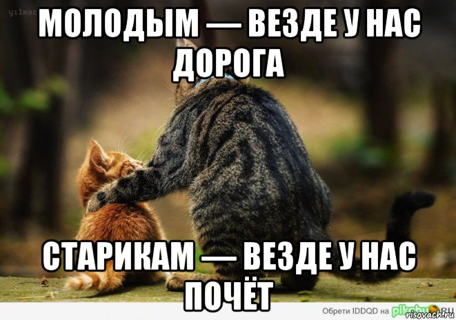 Стих молодым у нас дорога Стих молодым у нас дорога