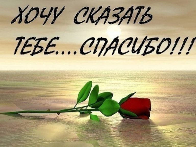 Спасибо тебе за подарок судьба Спасибо тебе за подарок судьба