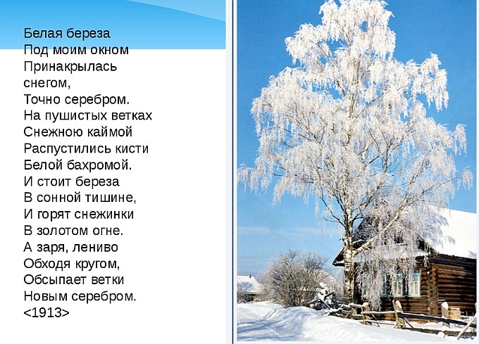 Есенина и его стих белая береза Есенина и его стих белая береза