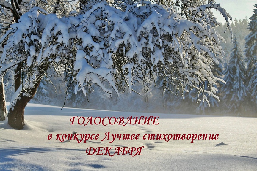 Стих о голосовании Стих о голосовании
