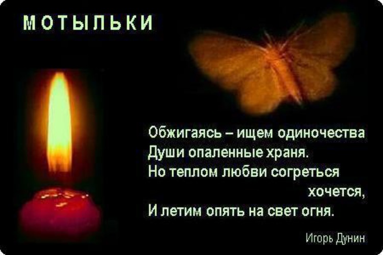 Стих мой мотылек зачем летишь к огню там Стих мой мотылек зачем летишь к огню там
