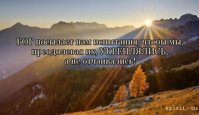 Ты посланный мне богом статусы Ты посланный мне богом статусы