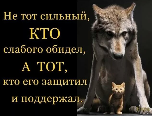 Что будет тому кто обидит беременную 23