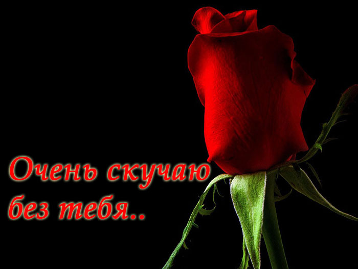 Возвращайся поскорей