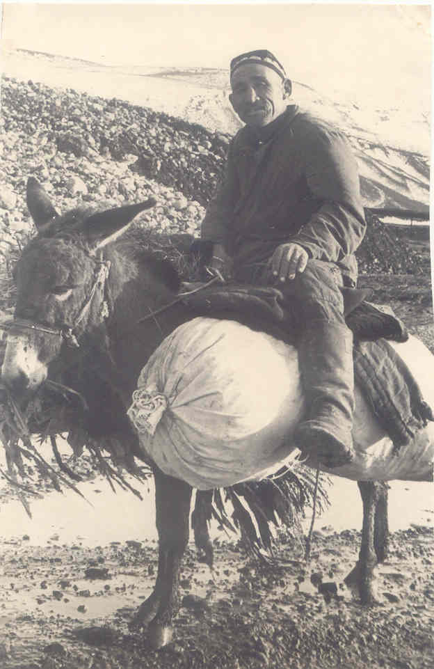 Владиван Крыленко