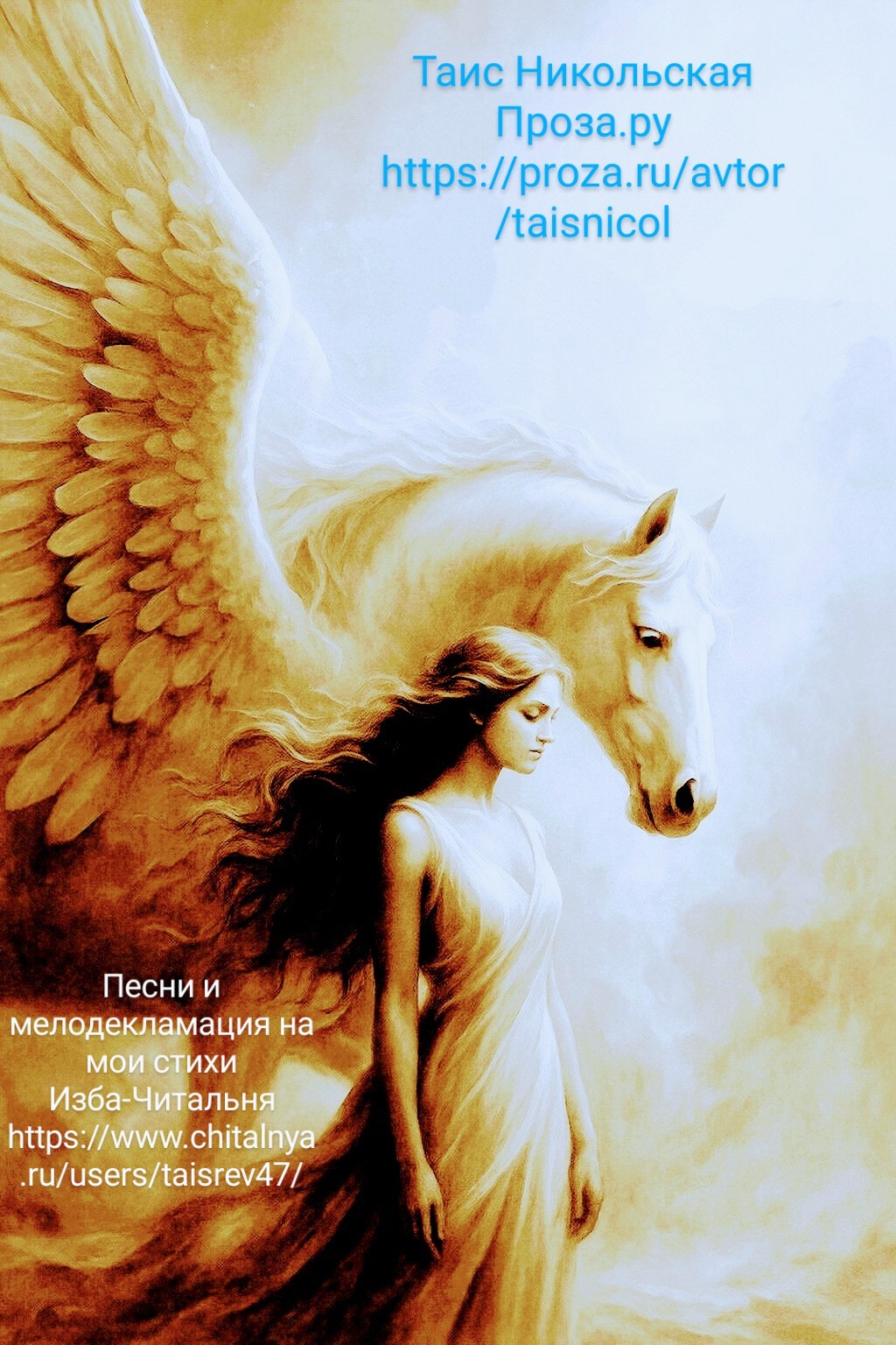 ���� ����������