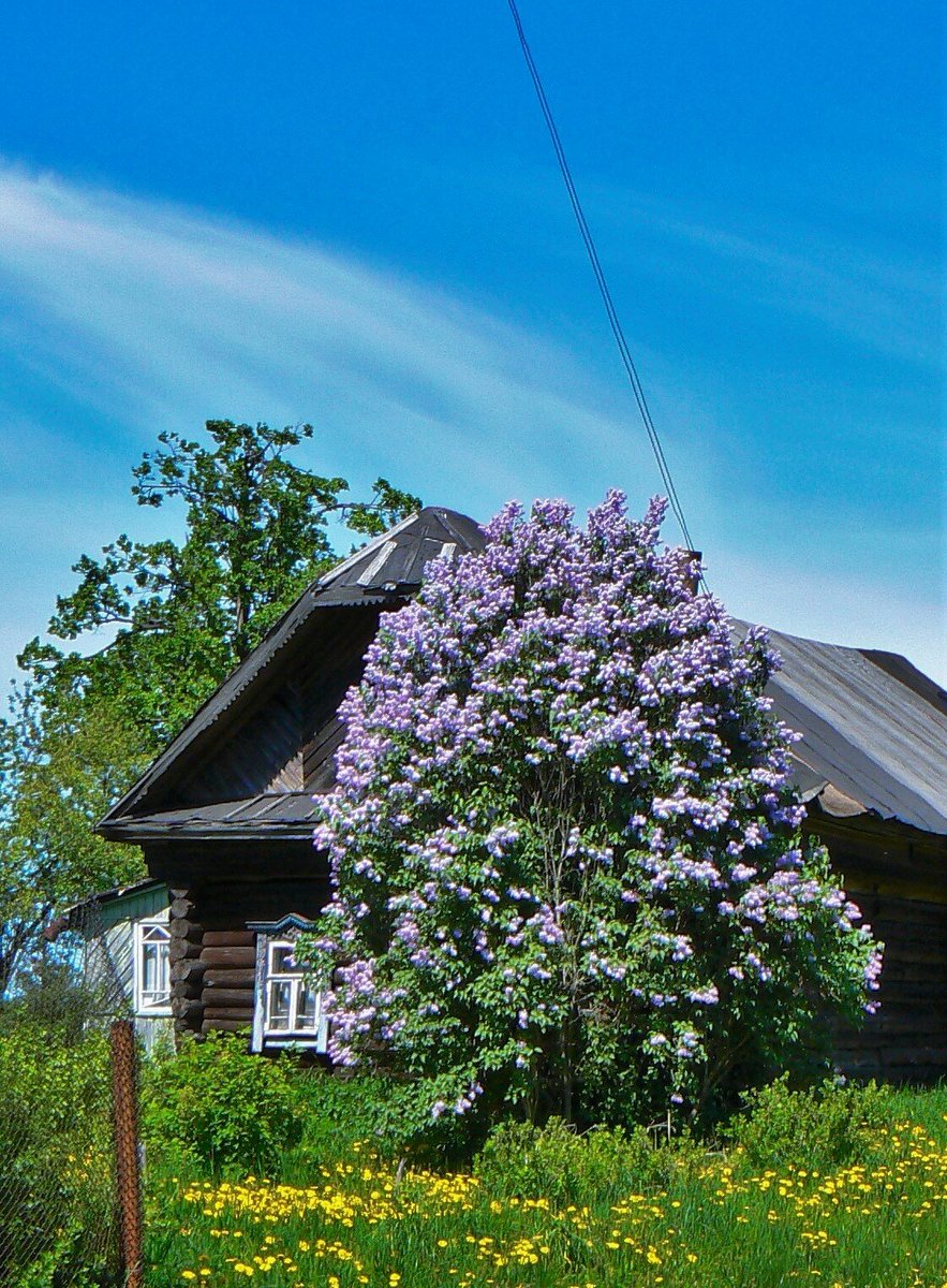 Евгений Сурский