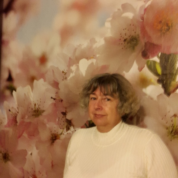 ���� ���������