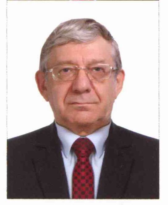 Борис Ильич Комиссаров