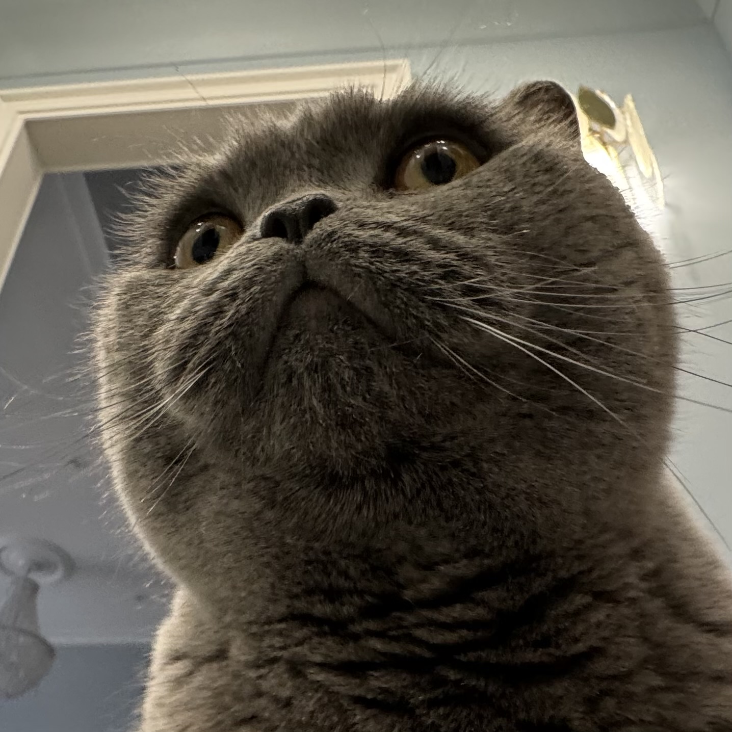 Евсеева Дарья Андреевна / Стихи.ру