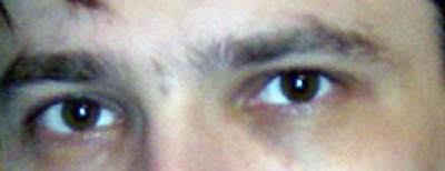 Дружище Биттнер