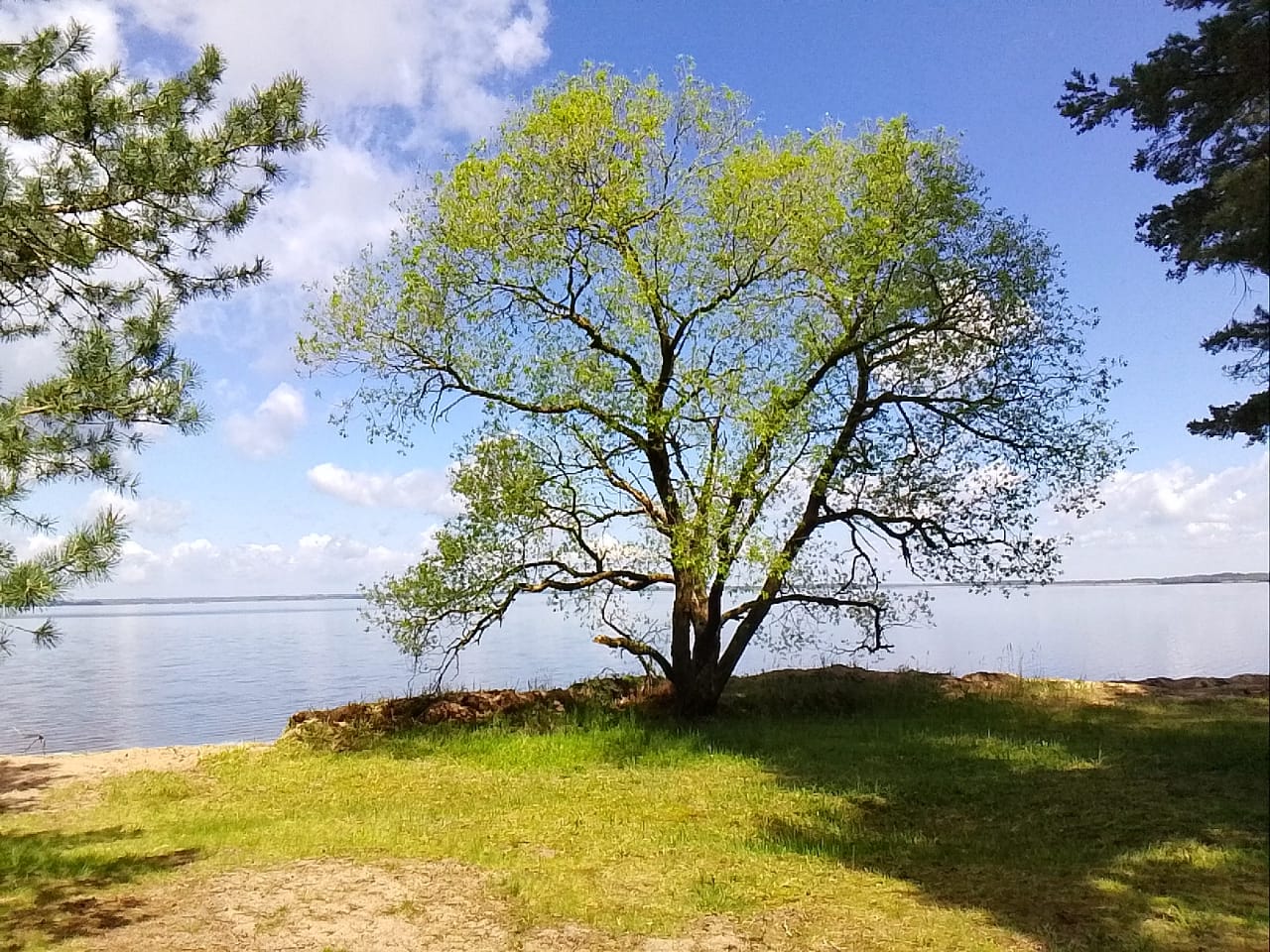 ��������� ���������