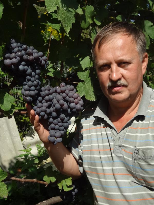 Владимир Рудин