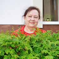 Елена Недбайлюк