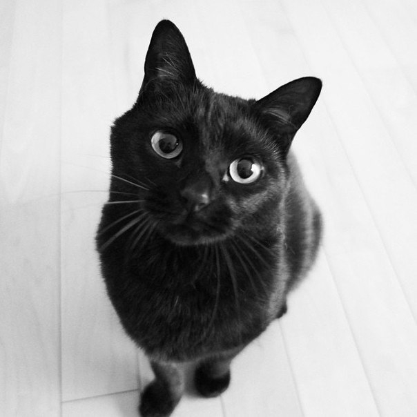 Иванова Елизавета Андреевна